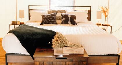 Starlight Retreat Yellowstone