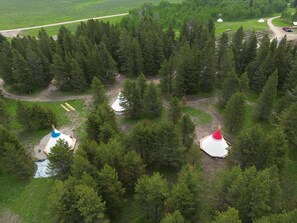 ファミリー テント (Yellowstone Fam Tipi Sleeps 7 w/ King) | 部屋からの景観