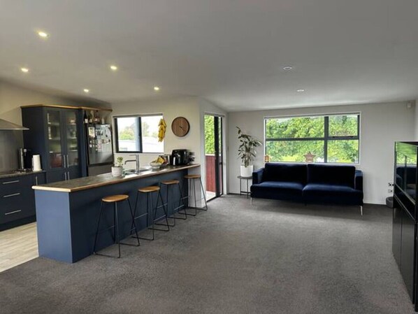 Smart TV, fireplace, books, stereo