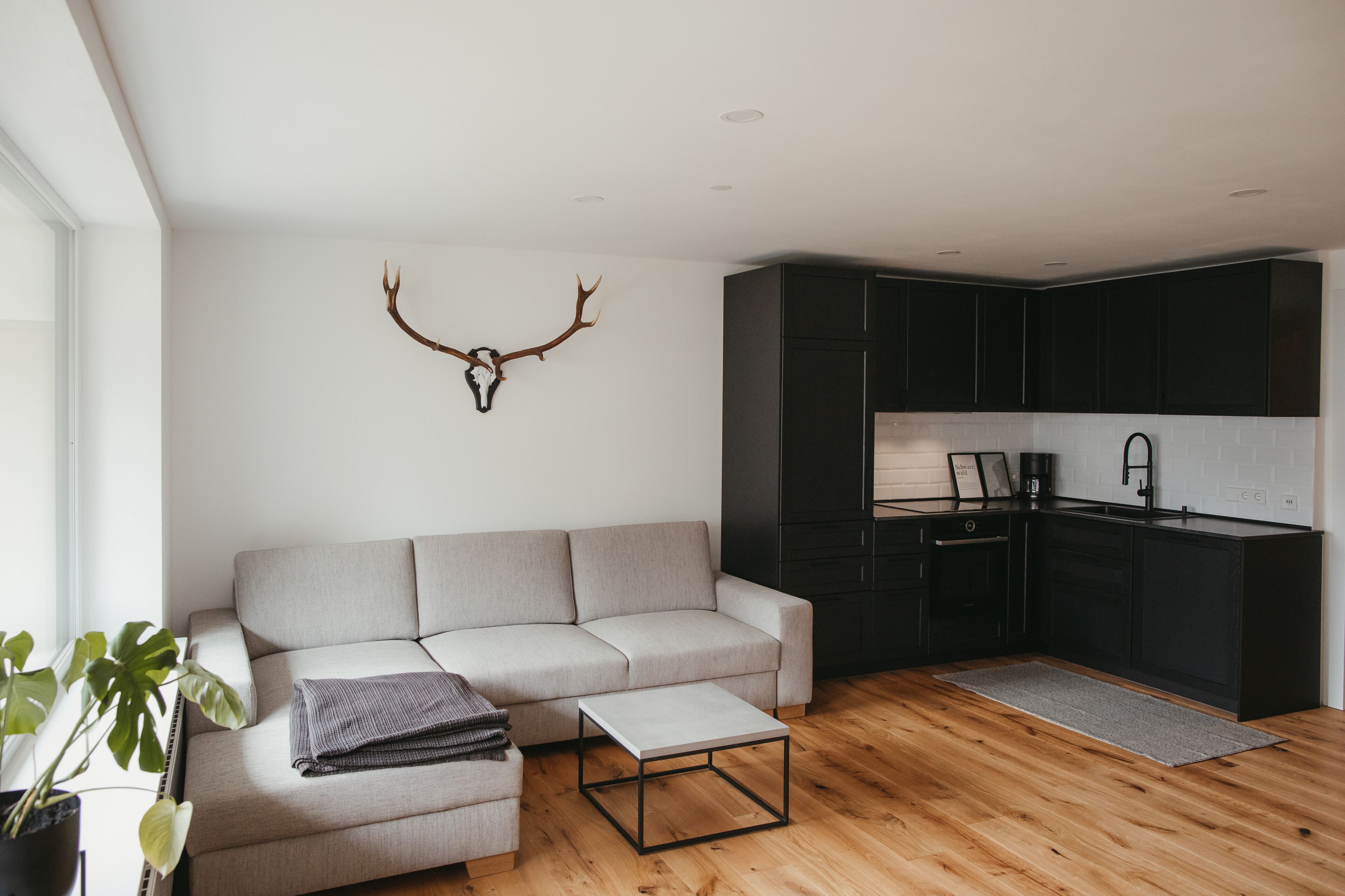 A modern living room with a grey sofa, a coffee table, and a kitchen area with dark cabinets and a white backsplash.