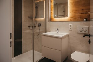 Douche, sèche-cheveux, serviettes fournies, papier toilette