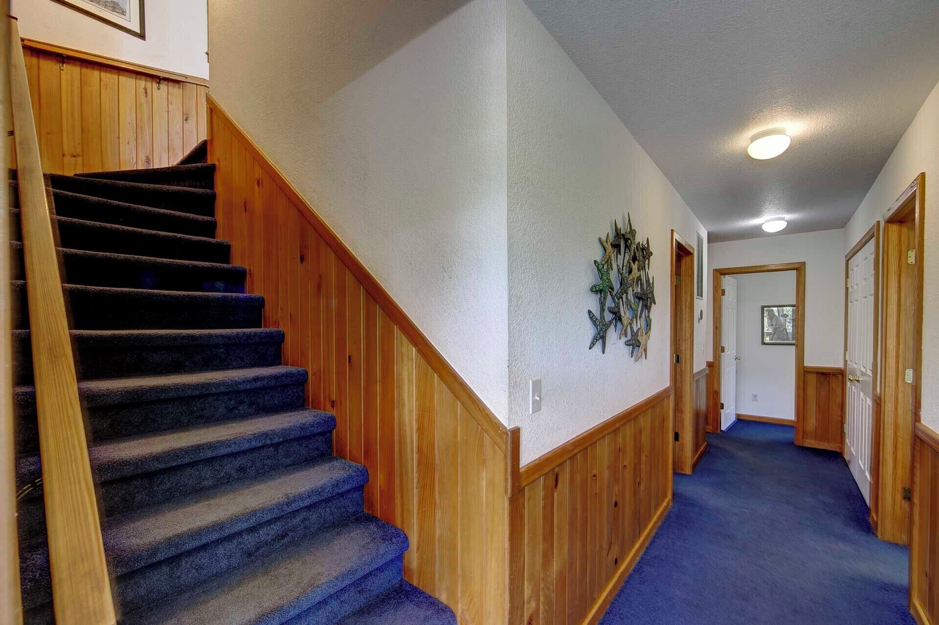 A hallway with a wooden staircase, a blue carpet, and a ceiling light.