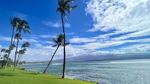 A grassy area with palm trees and a view of the ocean. - Oceanfront spacious 1bd Maalaea condo (Wailuku)