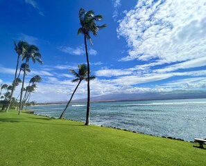 Beach nearby, beach towels