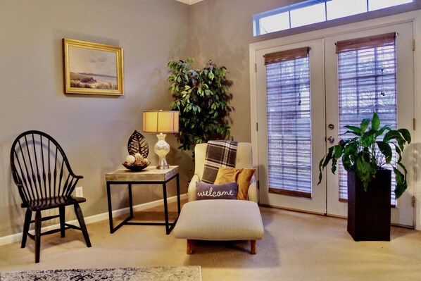 TV, fireplace, books