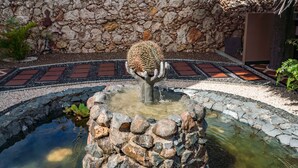 A stone wall with a cactus sculpture in a circular water feature. - Stone Fence (Sint Willibrordus)