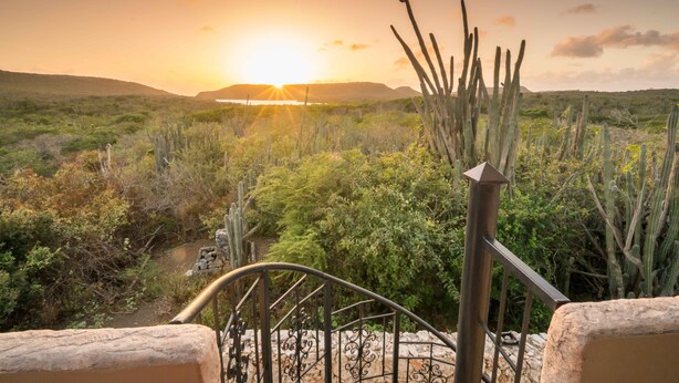 A desert landscape with a sunset, cacti, and a staircase leading to a viewing area. - Stone Fence (Sint Willibrordus)