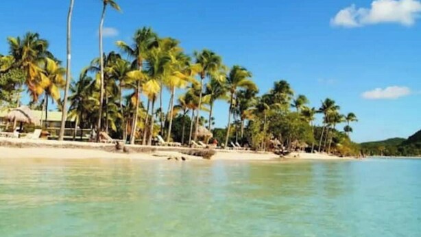 Une plage bordée de palmiers et aux eaux d’un bleu cristallin.