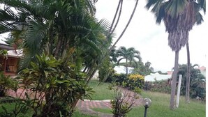 Un jardin tropical agrémenté de palmiers, d’un chemin pavé en briques et d’un petit élément décoratif aquatique.