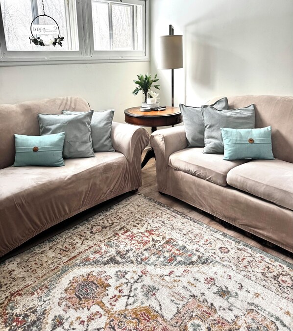 A living room with two beige sofas, patterned cushions, a small side table with a plant, and a patterned rug.