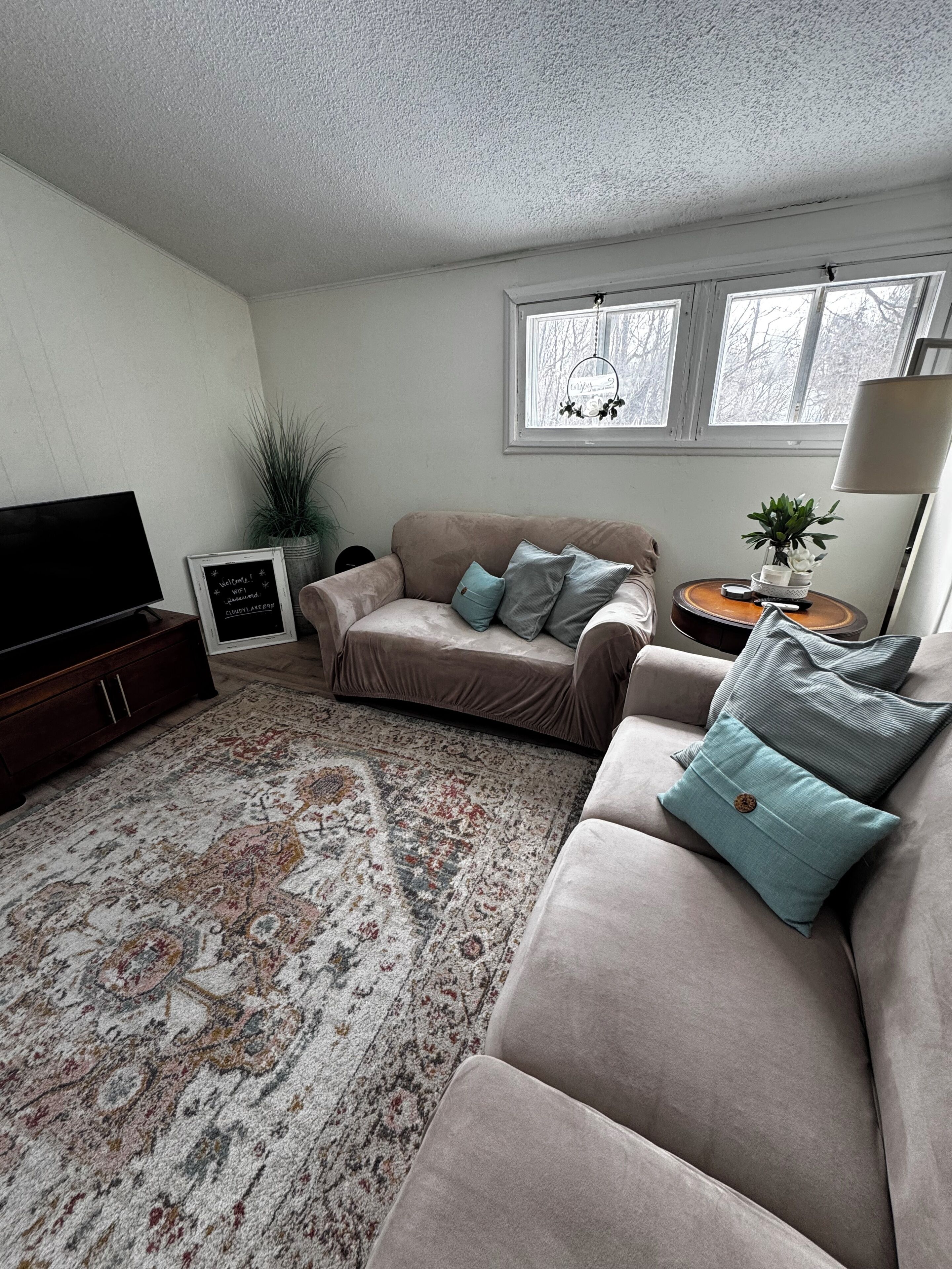 A living room with a sofa, a television, a rug, and a window with a view of trees.