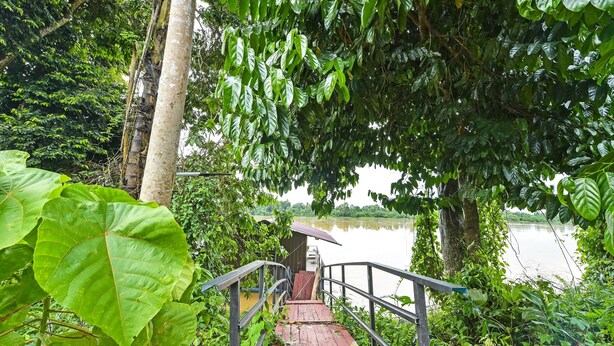 A wooden pathway leading to a small wooden structure by a lake, surrounded by lush greenery. - OYO HOME 90682 Liliz Mambang Farmstay (Pekan)