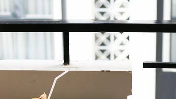 Habitación cuádruple Deluxe | Vista desde la habitación