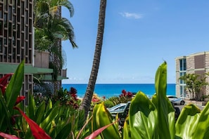 A hotel with a view of the ocean, palm trees, and a parking area.