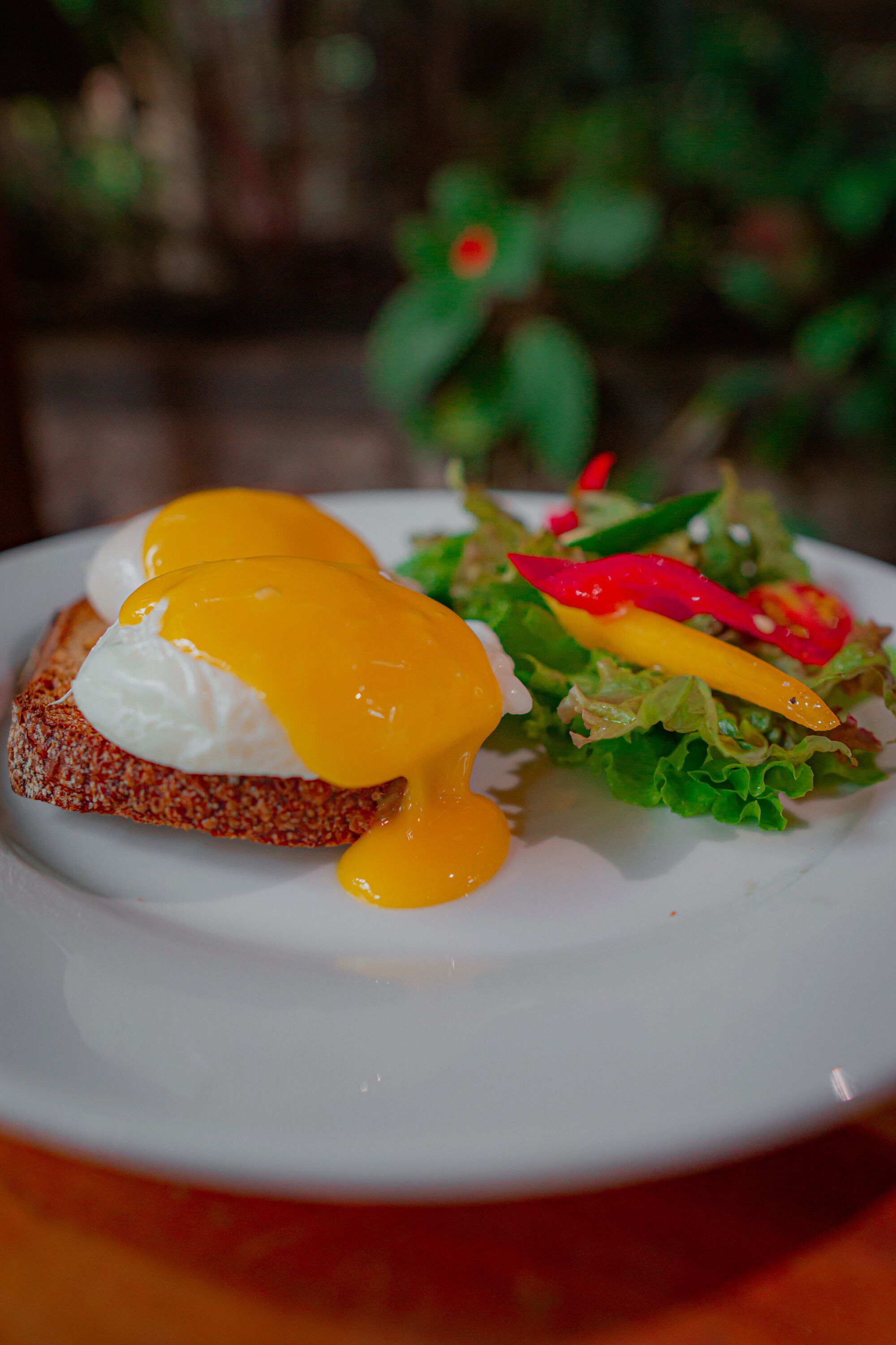 A plate with a breakfast dish consisting of eggs and toast, accompanied by a side salad with red peppers and greens.