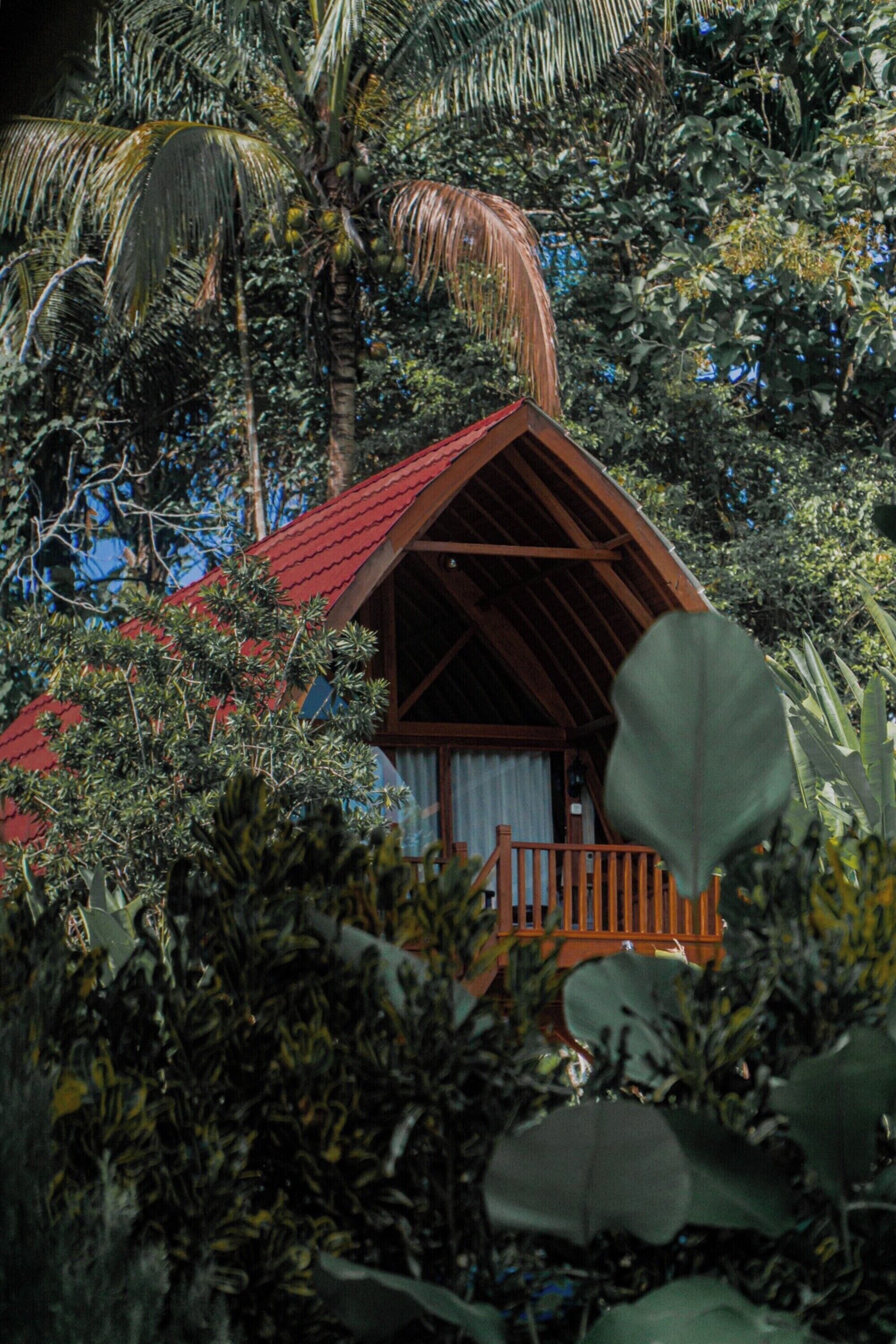 A wooden cabin with a red roof nestled among dense tropical foliage.