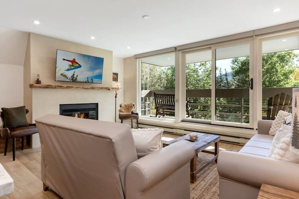 TV, fireplace