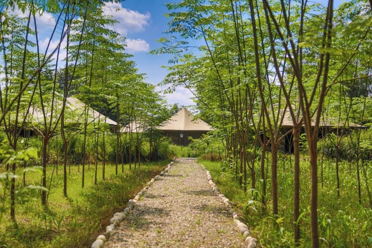A pathway leading to a building with a conical roof, surrounded by lush greenery and trees.