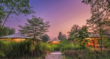 Aalia Jungle Retreat and Spa, Bandarjudh, Haridwar - Araiya Anthology