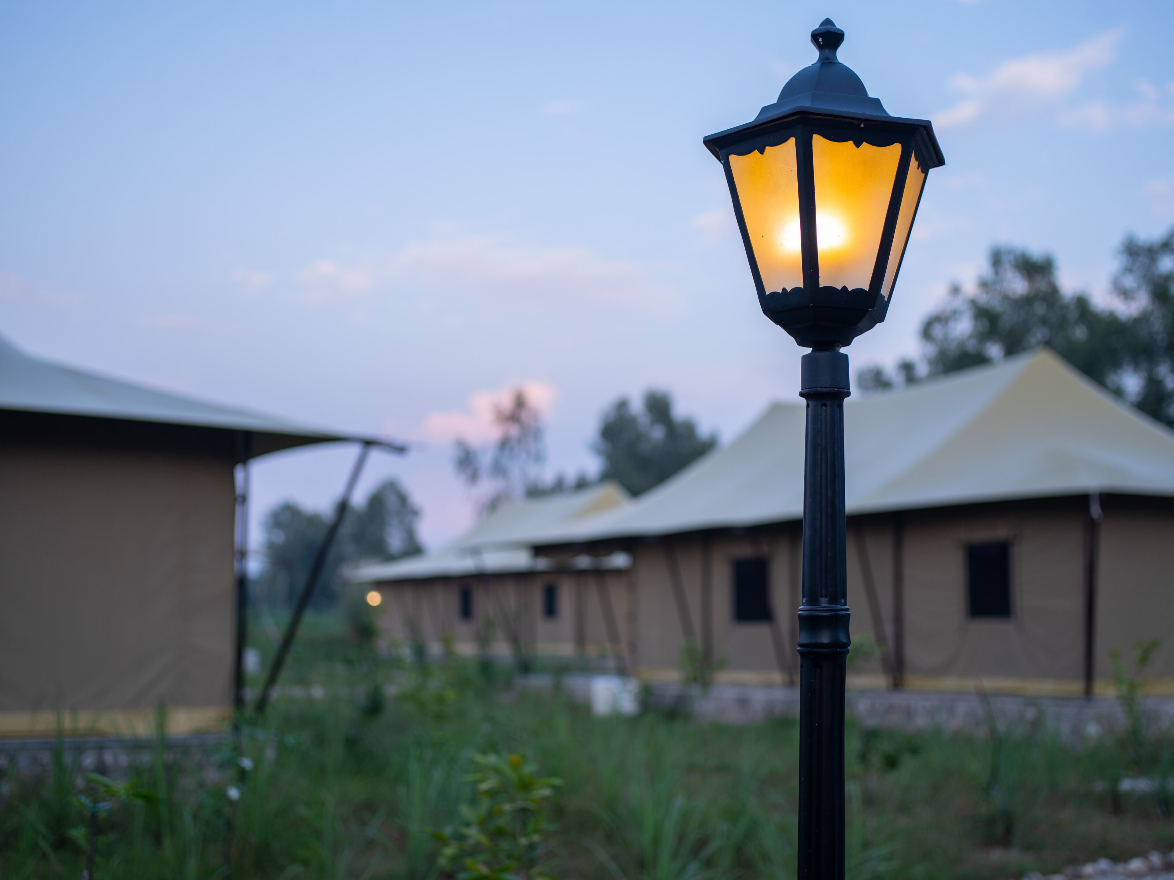 Un seul lampadaire dans un jardin, avec des tentes en arrière-plan.
