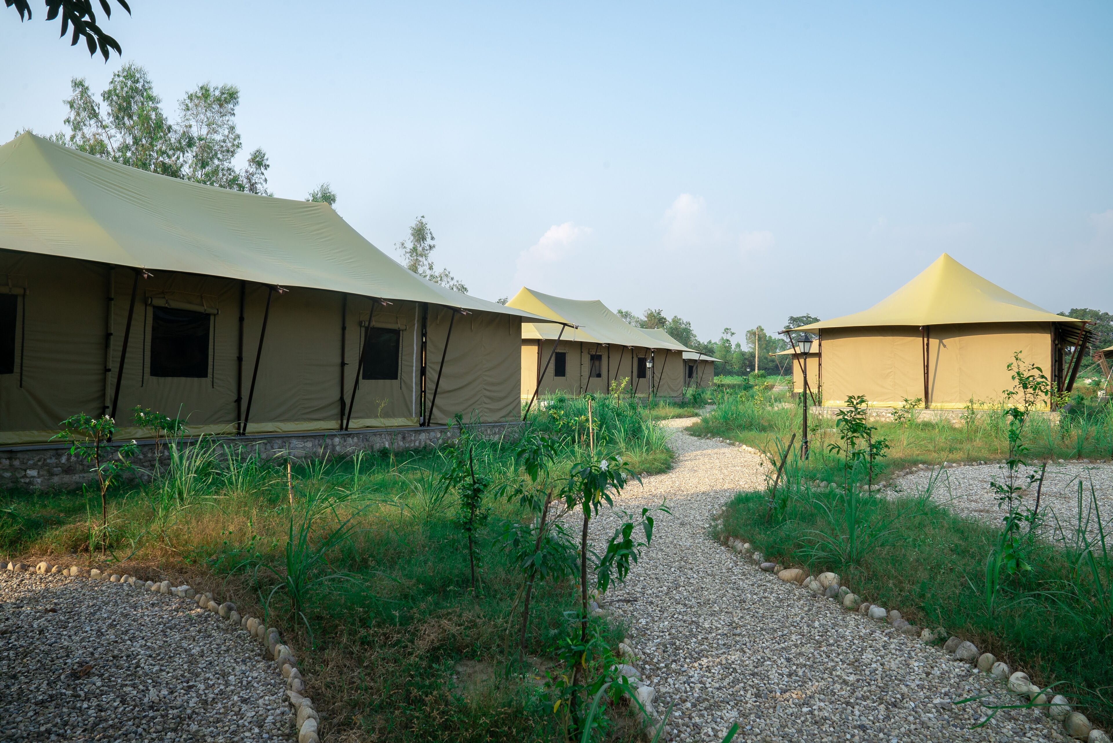 A row of beige tents with a gravel path between them, surrounded by greenery.
