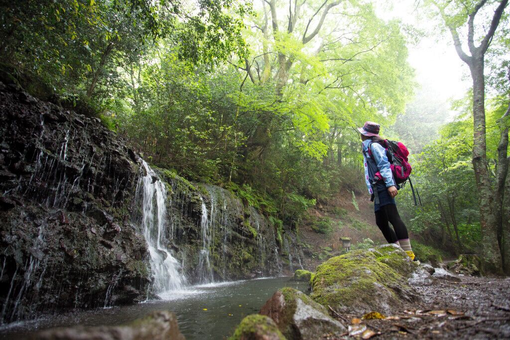 A hiker standing by a waterfall in a forested area.