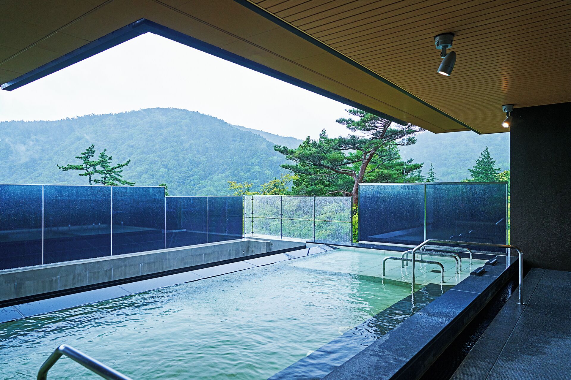 Une piscine intérieure moderne avec des parois en verre transparent, offrant une vue sur une montagne boisée et dotée d’un plafond en bois.