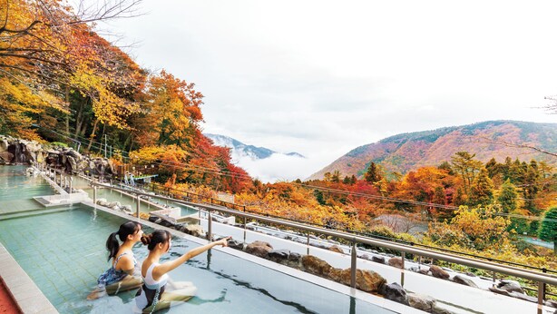 Una piscina con vistas a follaje otoñal y montañas.