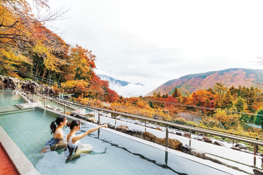 Hakone Kowakien