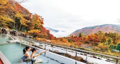 Hakone Kowakien