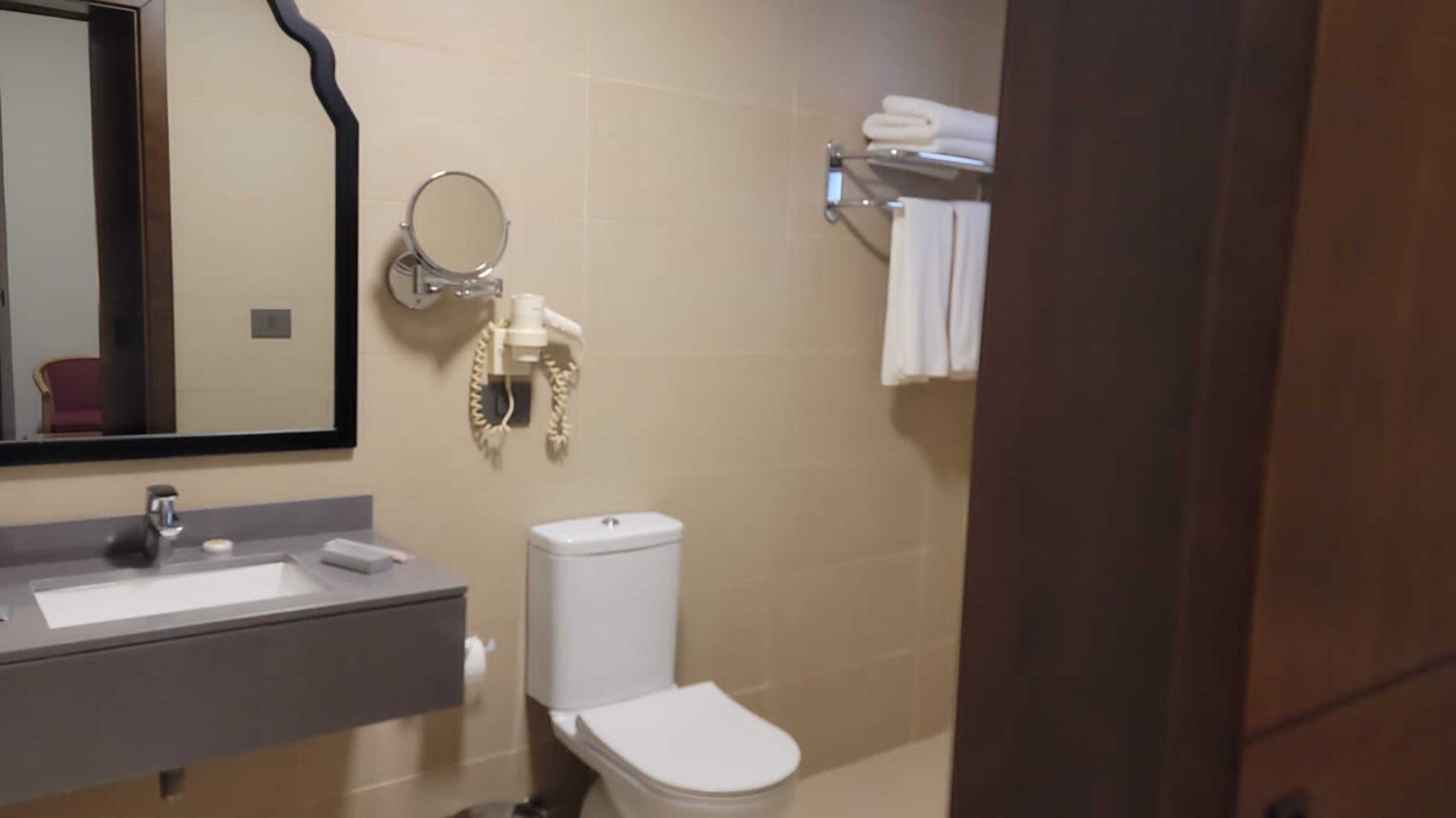 A bathroom with a sink, mirror, toilet, and towel rack.