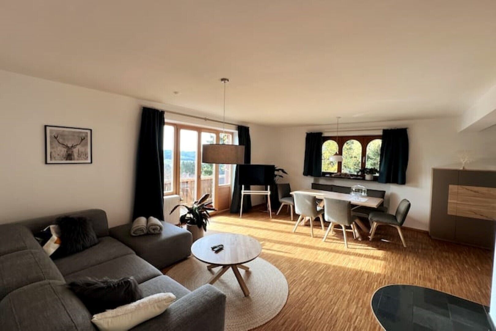 TV connectée, cheminée, livres