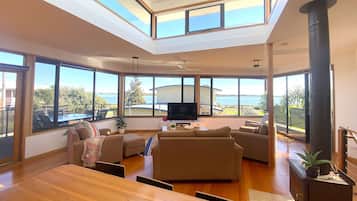 Smart TV, fireplace, books