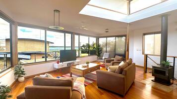 Smart TV, fireplace, books