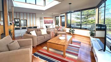 Smart TV, fireplace, books
