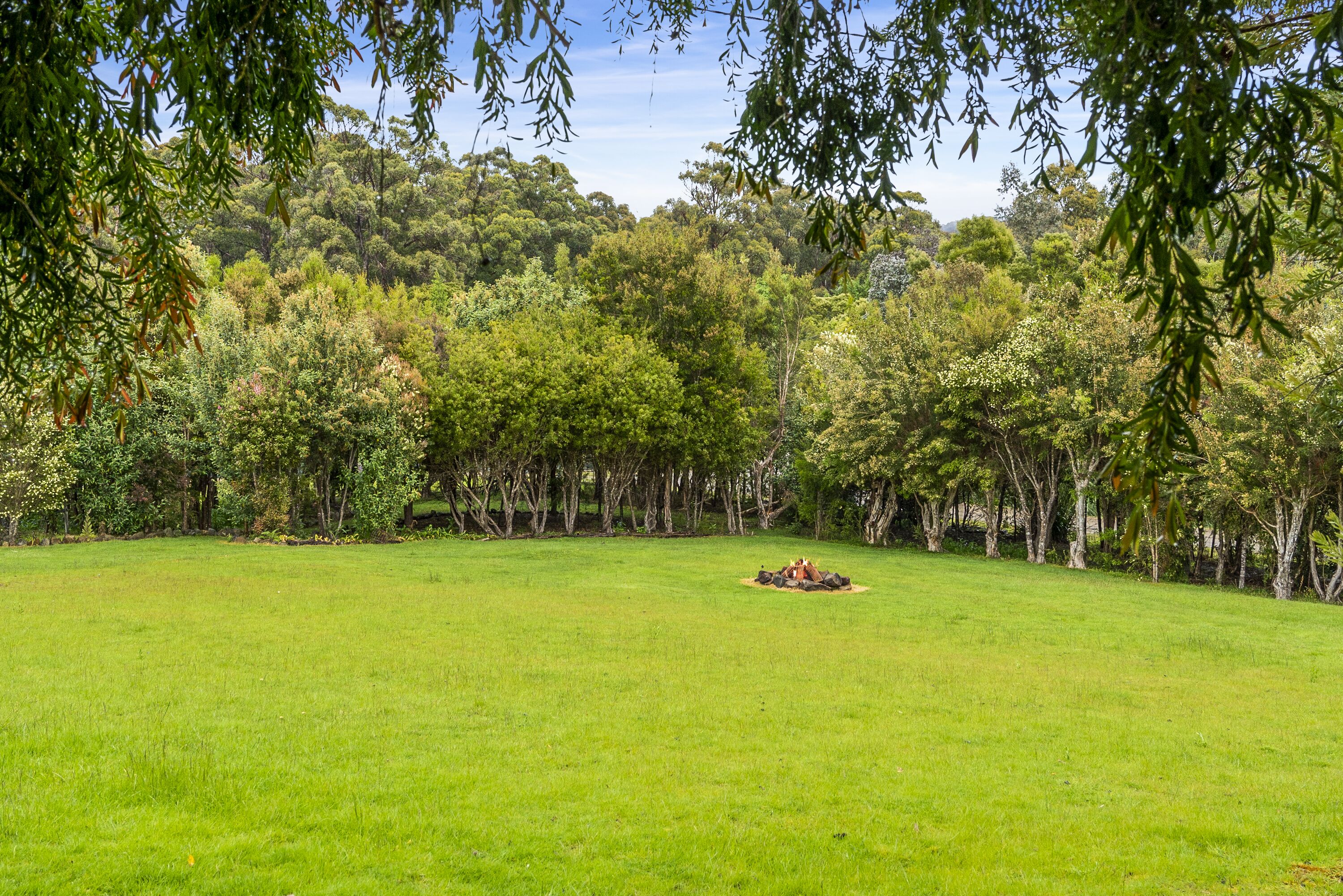 Ein grasbewachsenes Feld mit Bäumen im Hintergrund.
