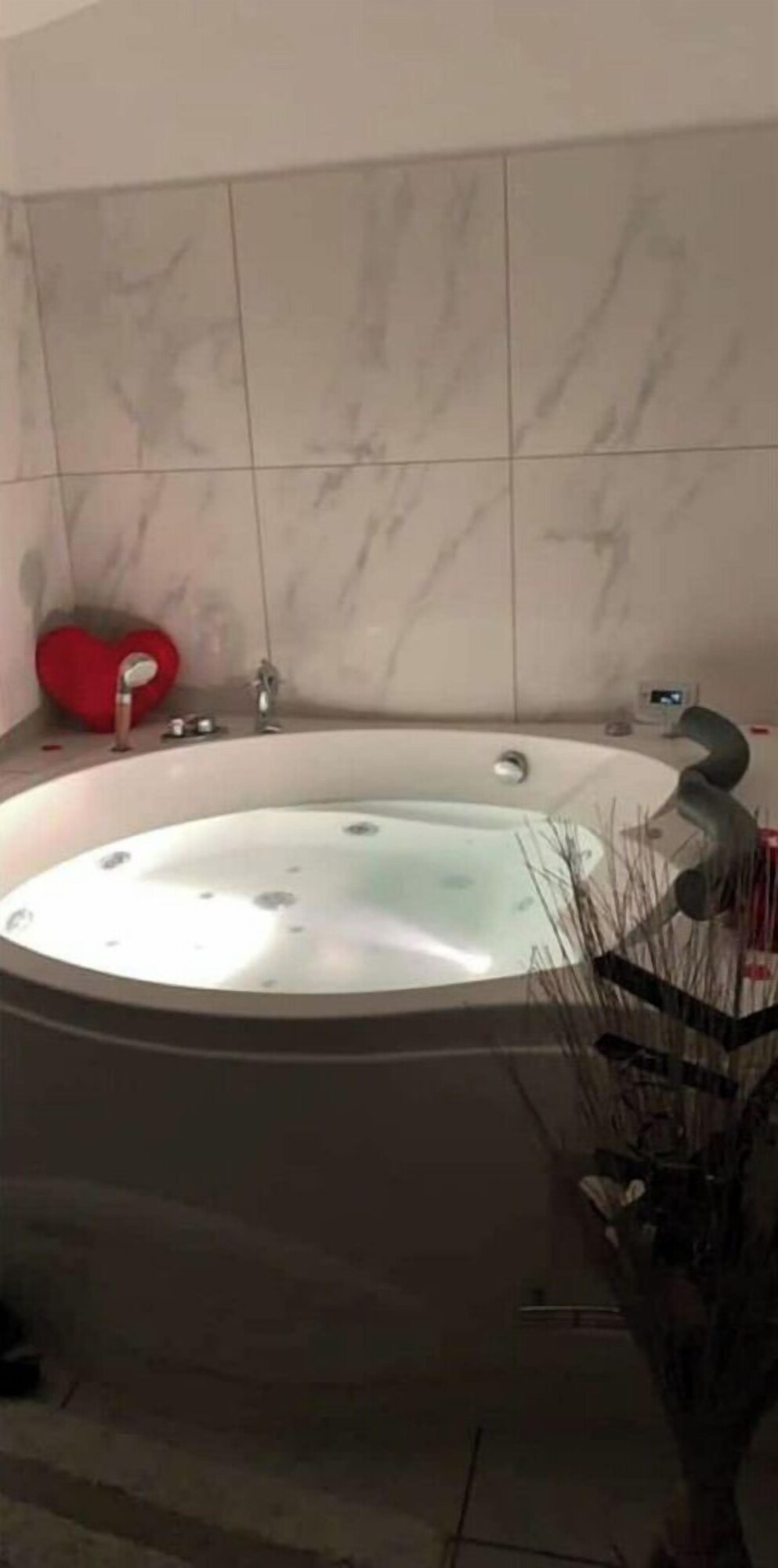 オーナーのプロフィール画像