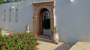 A white building with an arched entrance, potted plants, and a palm tree.