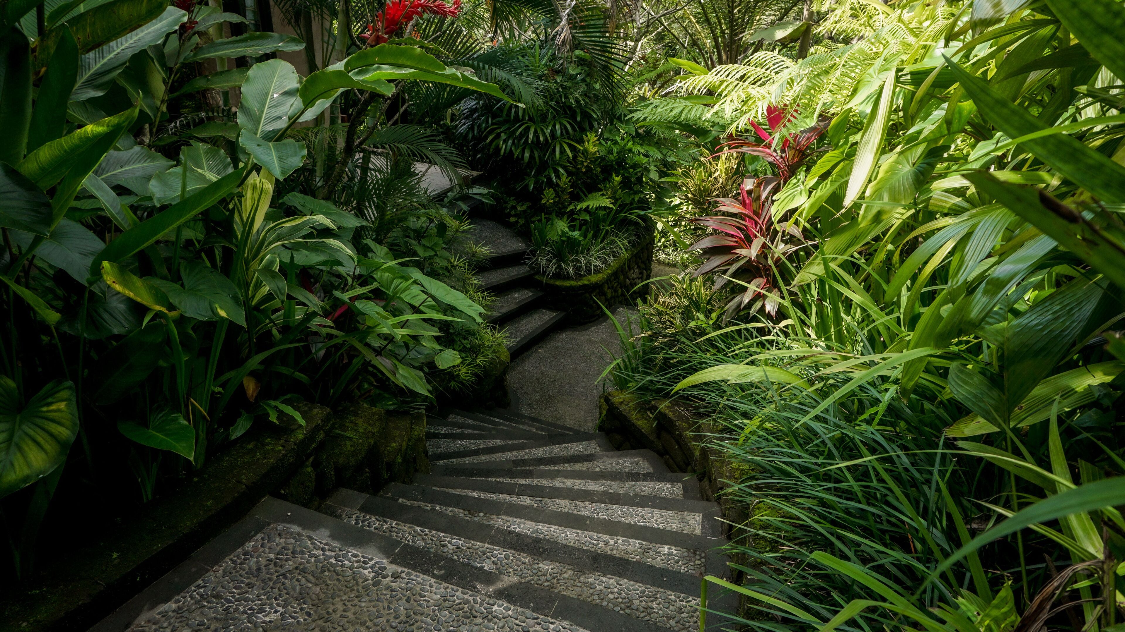 บริเวณภายนอก