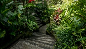 Una scala in pietra immersa in una rigogliosa vegetazione tropicale.