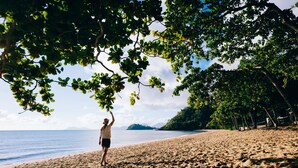 Une plage où l’on voit une personne debout sous un arbre, un rivage sablonneux et une mer calme en arrière-plan.