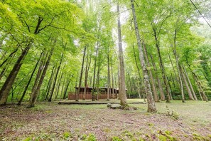 Escape to a secluded cabin surrounded by a lush forest, perfect for a tranquil retreat.