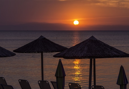 Bar de playa