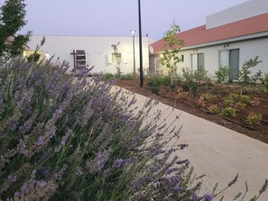 Front of property – evening/night - Boutique El Rom - Hostel (El-Rum)