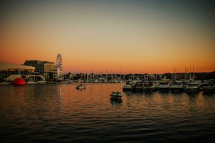 Paseos en bote