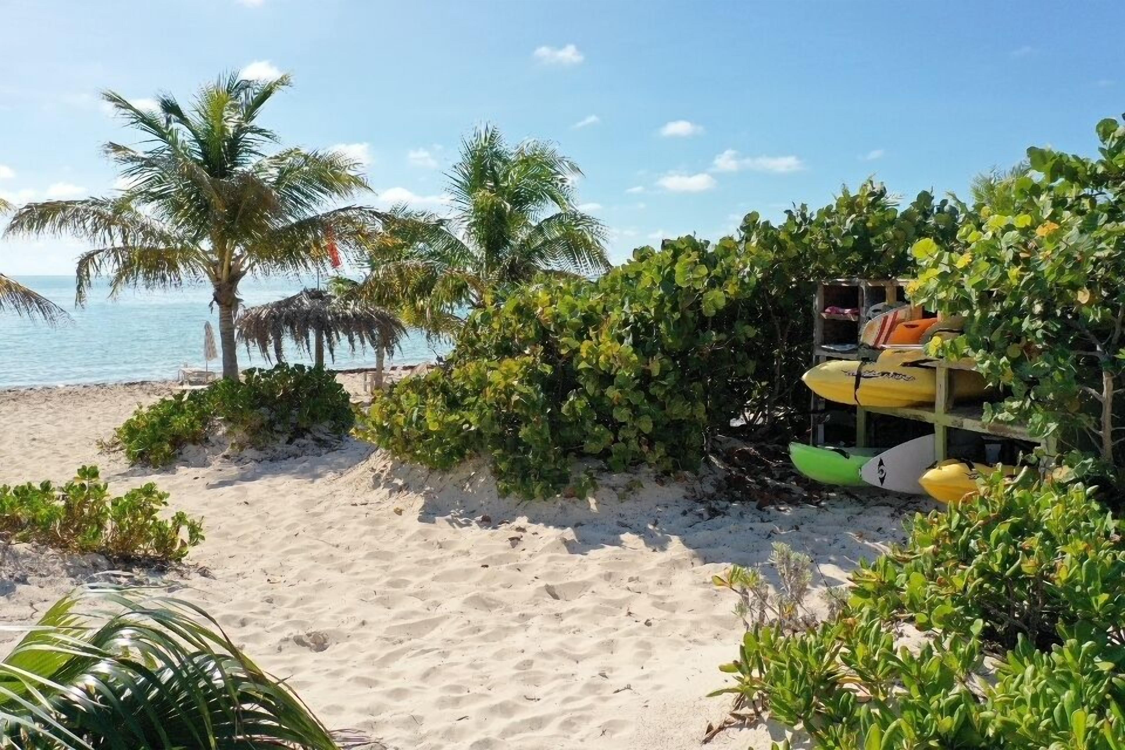 Een zandstrand met palmbomen en een hut met rieten dak.