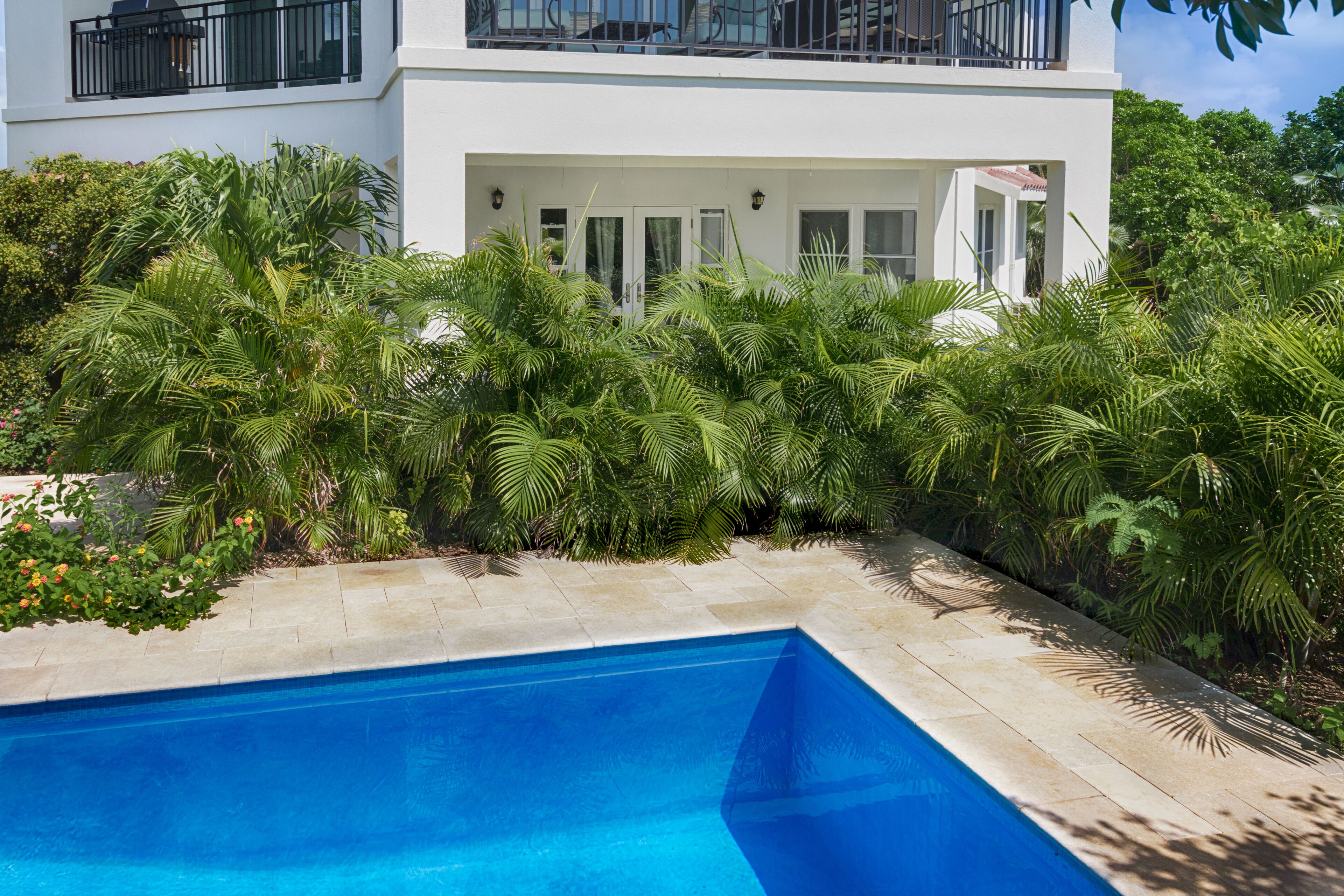 Une maison moderne dotée d’une piscine, le tout entouré d’une végétation luxuriante.