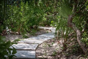 المنطقة المحيطة بالمنشأة