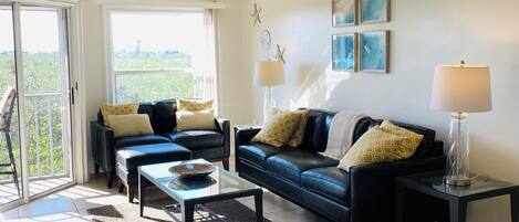 TV connectée, lecteur de DVD, livres, vidéothèque