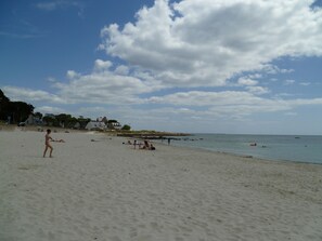 Playa en los alrededores y camastros 